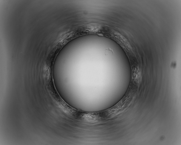 X0000101180568200806271254