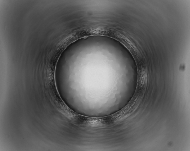 X0000101180569200806271254