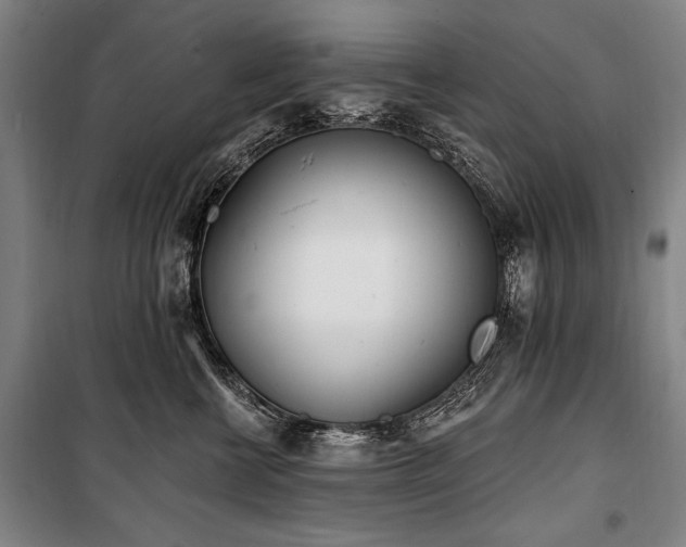 X0000101180570200806271254