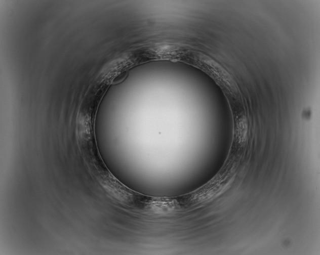X0000101180571200806271254