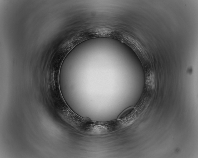 X0000101180572200806271254