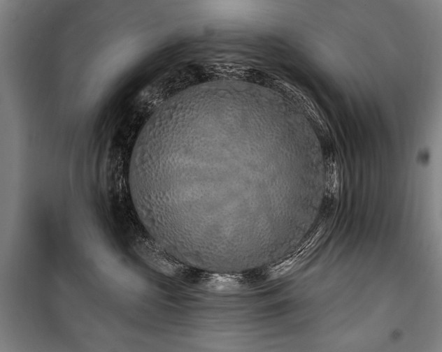 X0000101180573200806271254
