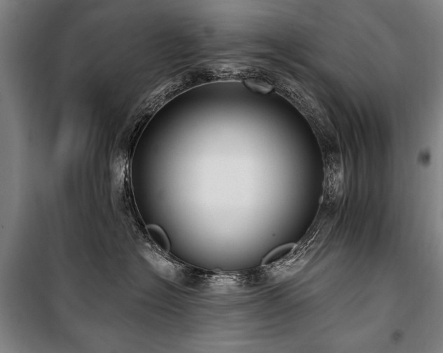 X0000101180574200806271254
