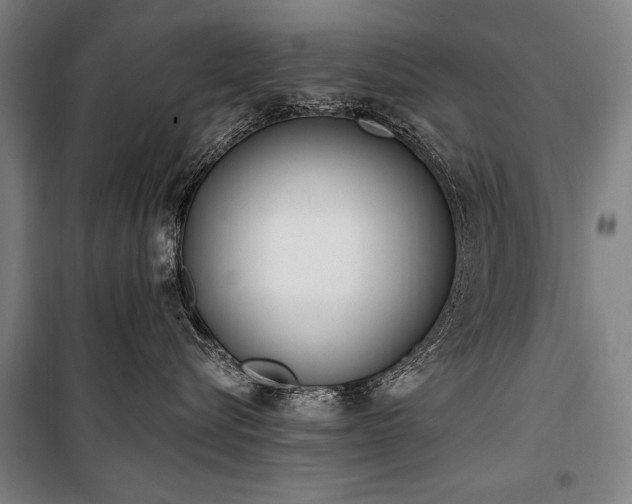 X0000101180576200806271254