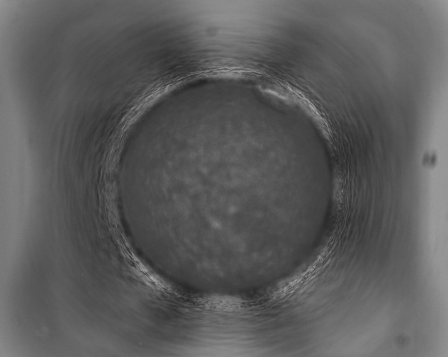 X0000101180577200806271254