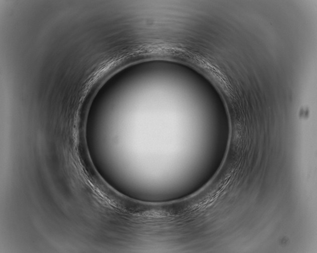X0000101180578200806271254
