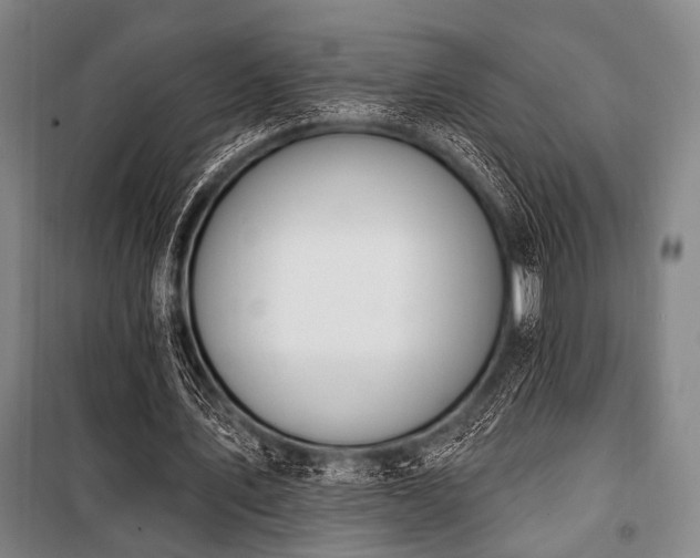 X0000101180579200806271254