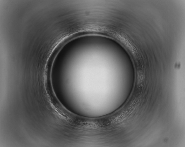 X0000101180580200806271254