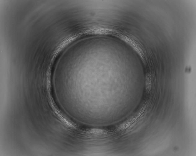 X0000101180581200806271254