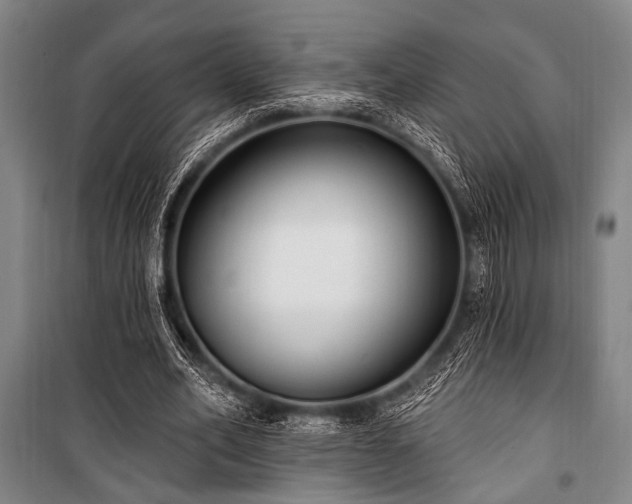 X0000101180582200806271254