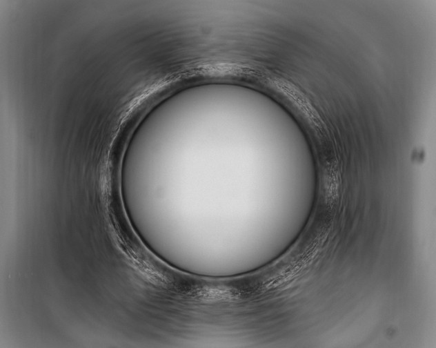 X0000101180583200806271254