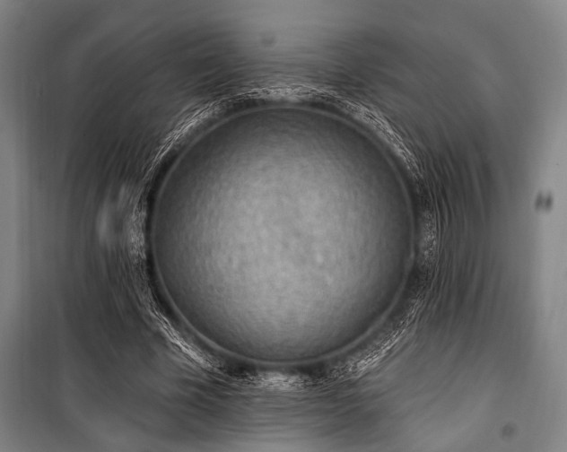 X0000101180585200806271254