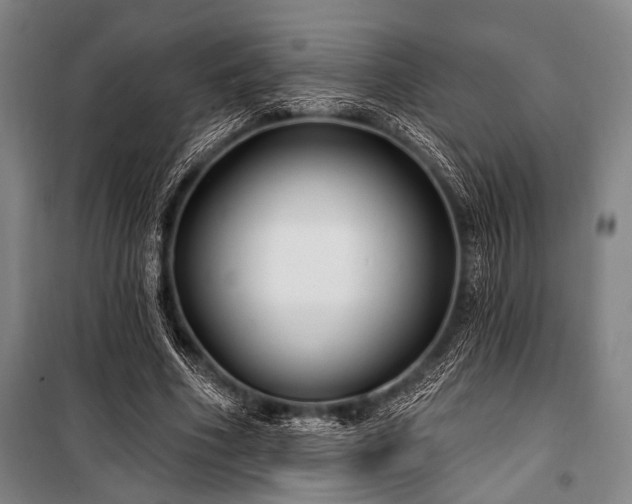X0000101180586200806271254