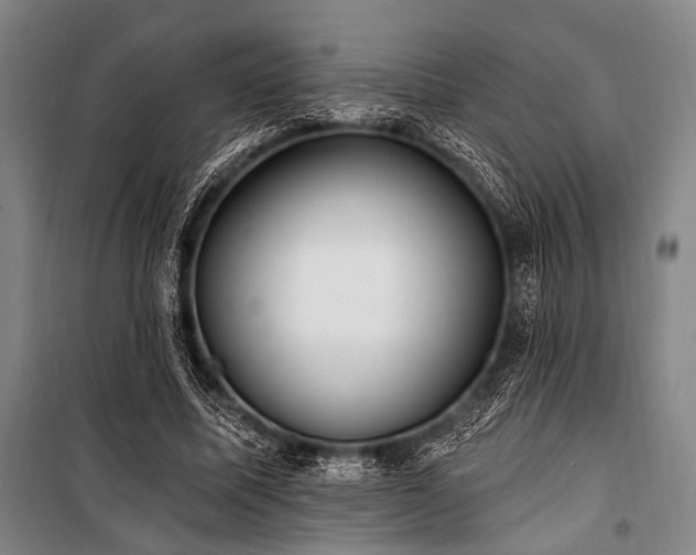 X0000101180587200806271254