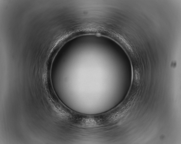 X0000101180588200806271254