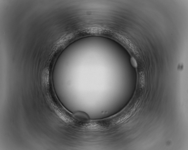 X0000101180589200806271254