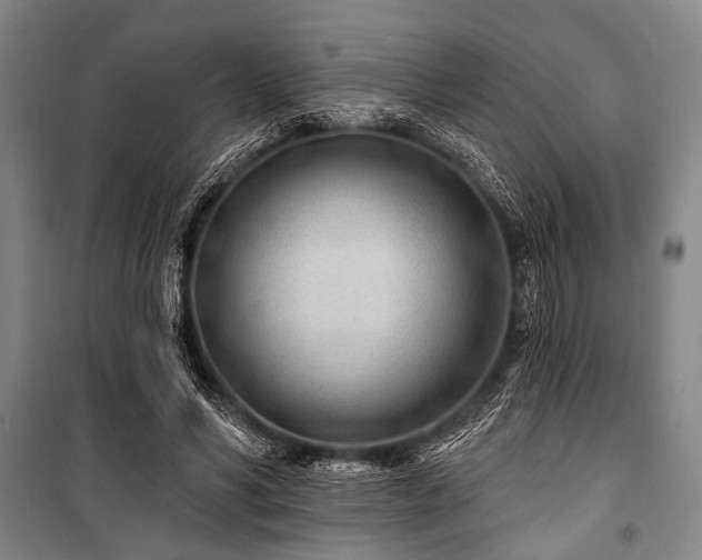 X0000101180590200806271254