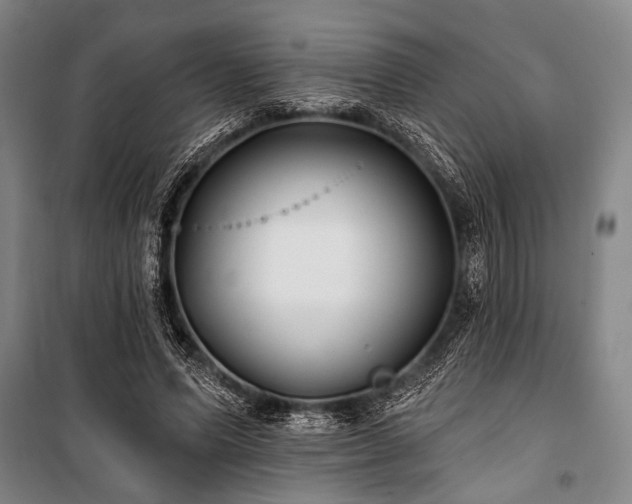 X0000101180591200806271254