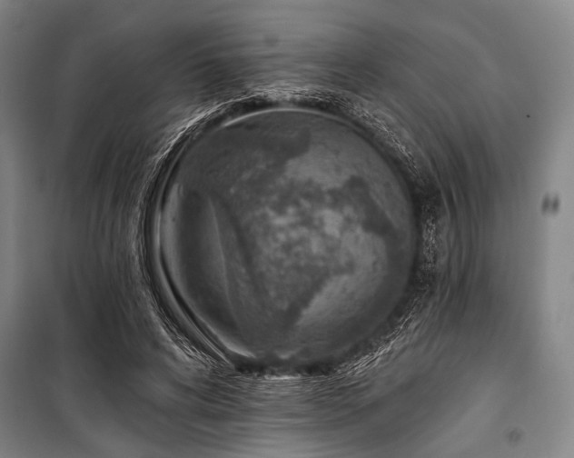 X0000101180592200806271254