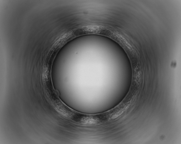 X0000101180597200806271253