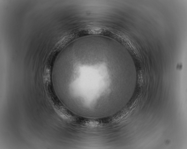 X0000101180598200806271253