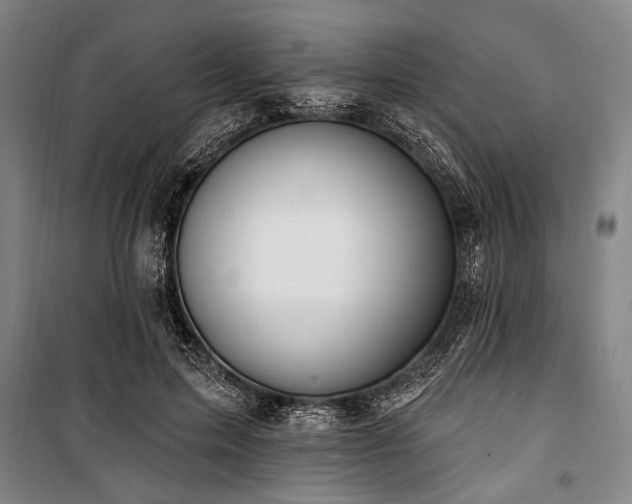 X0000101180599200806271253