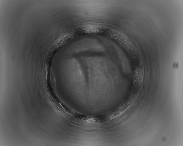 X0000101180600200806271253
