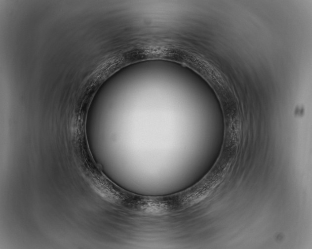 X0000101180601200806271253
