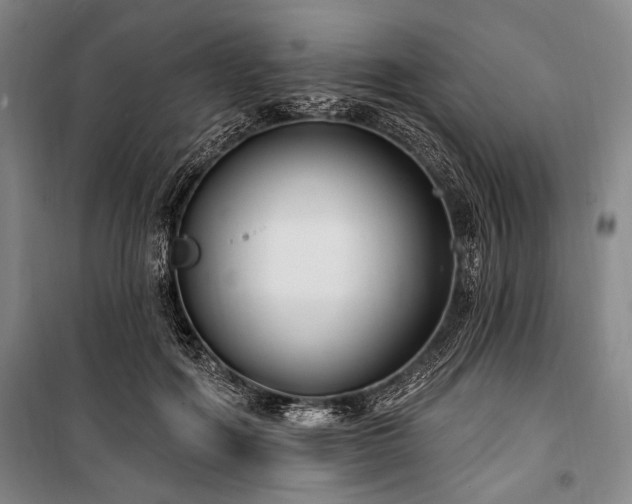 X0000101180602200806271253