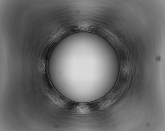 X0000101180603200806271253
