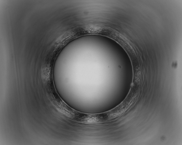 X0000101180604200806271253