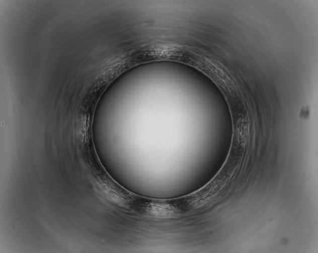 X0000101180605200806271253