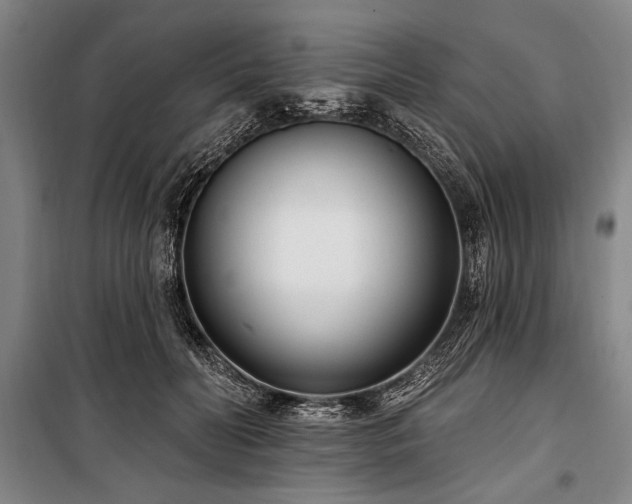 X0000101180606200806271253