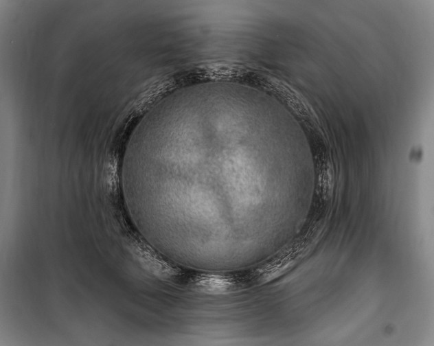 X0000101180610200806271253