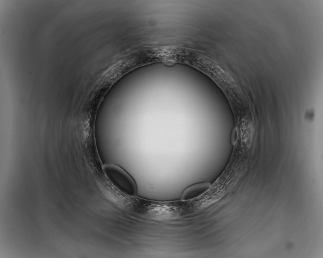 X0000101180611200806271253