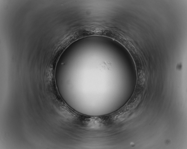 X0000101180612200806271253
