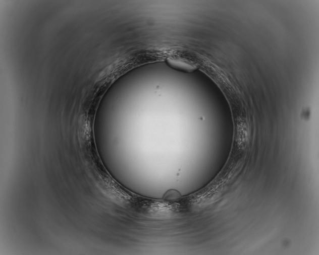 X0000101180613200806271253