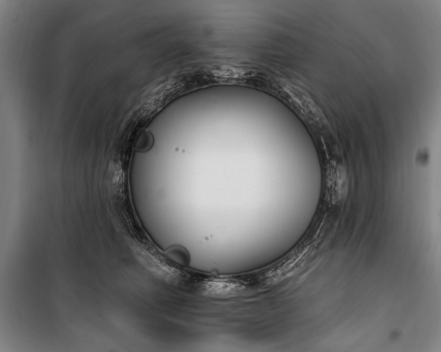 X0000101180614200806271253