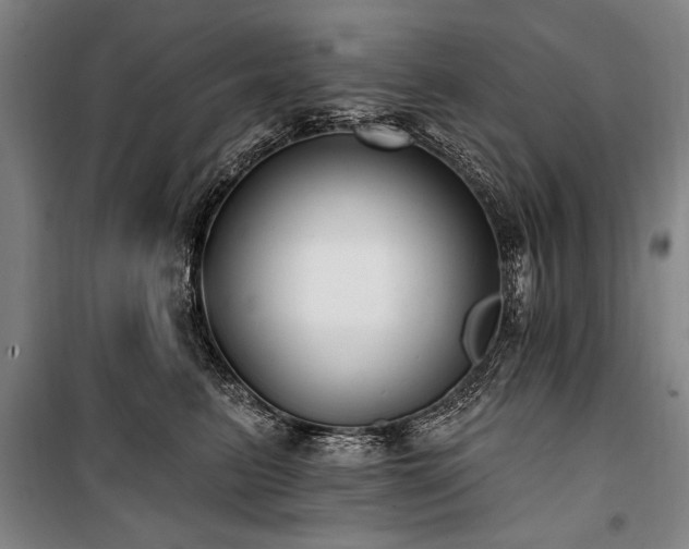 X0000101180615200806271253