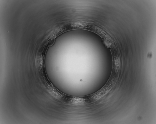 X0000101180617200806271253