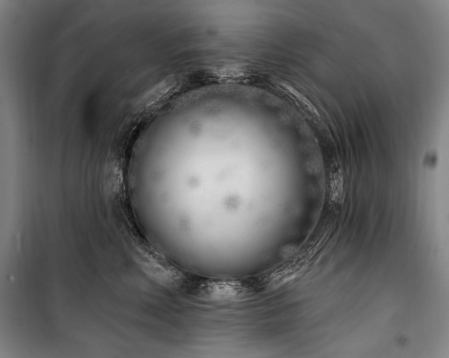 X0000101180618200806271253