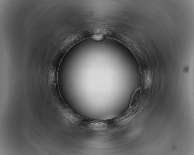 X0000101180619200806271253