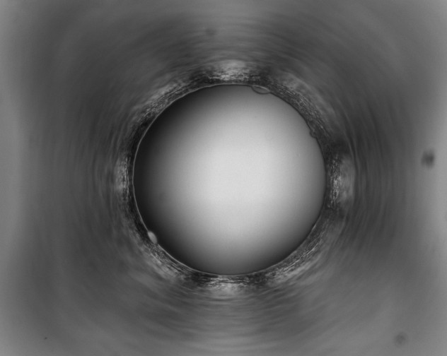 X0000101180620200806271253