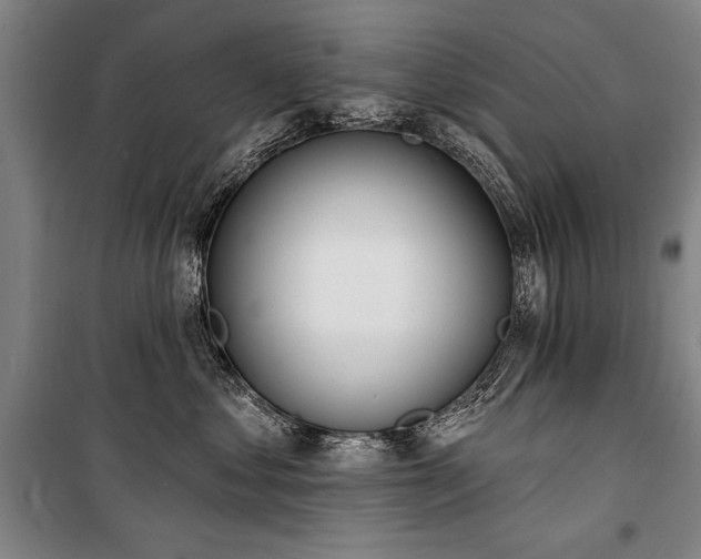 X0000101180621200806271253