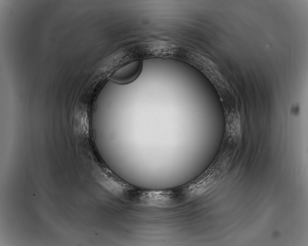 X0000101180622200806271253