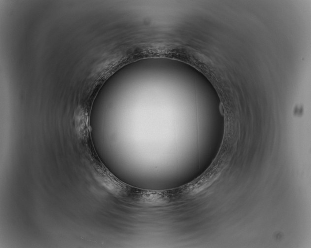 X0000101180624200806271253
