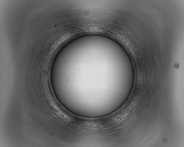 X0000101180625200806271252