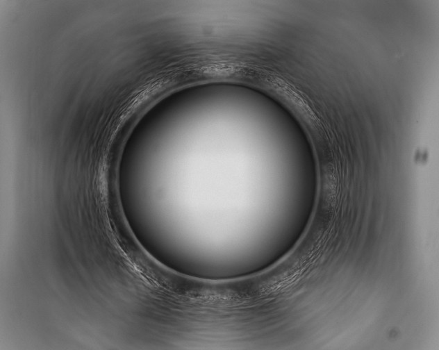 X0000101180626200806271252