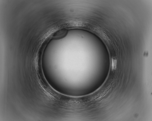 X0000101180627200806271252