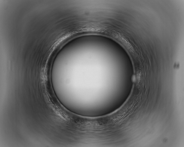 X0000101180628200806271252